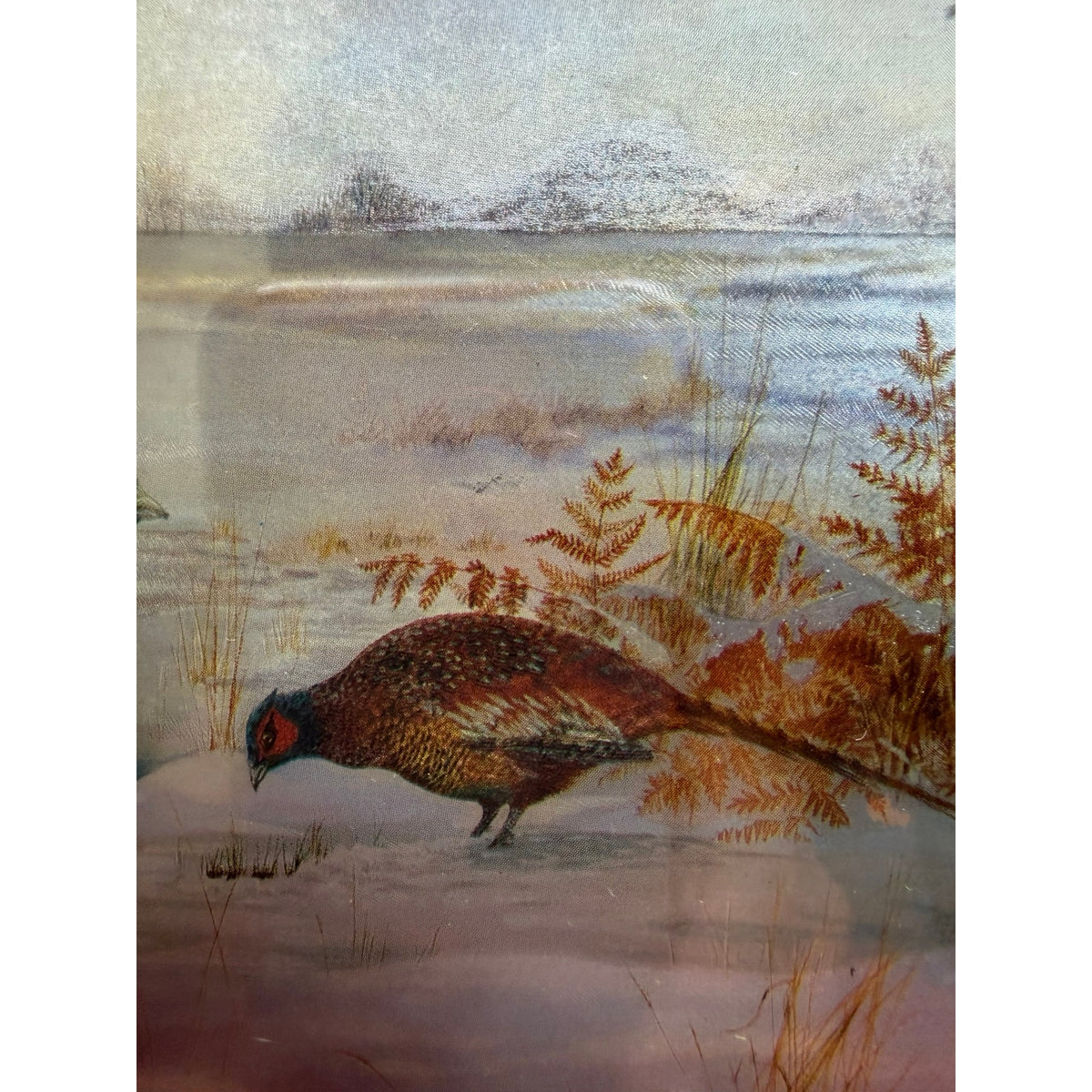 Vintage Foil Art Pheasant Picture Iridescent Winter Scene Gold Frame 8x10