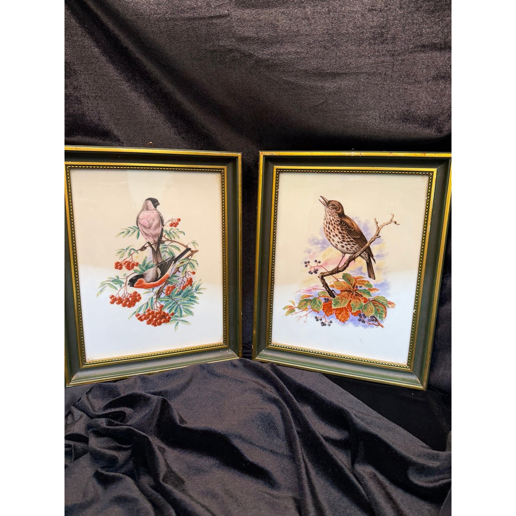Vintage Heinrich Germany Framed Porcelain Bird Tile Wall Art Pair
