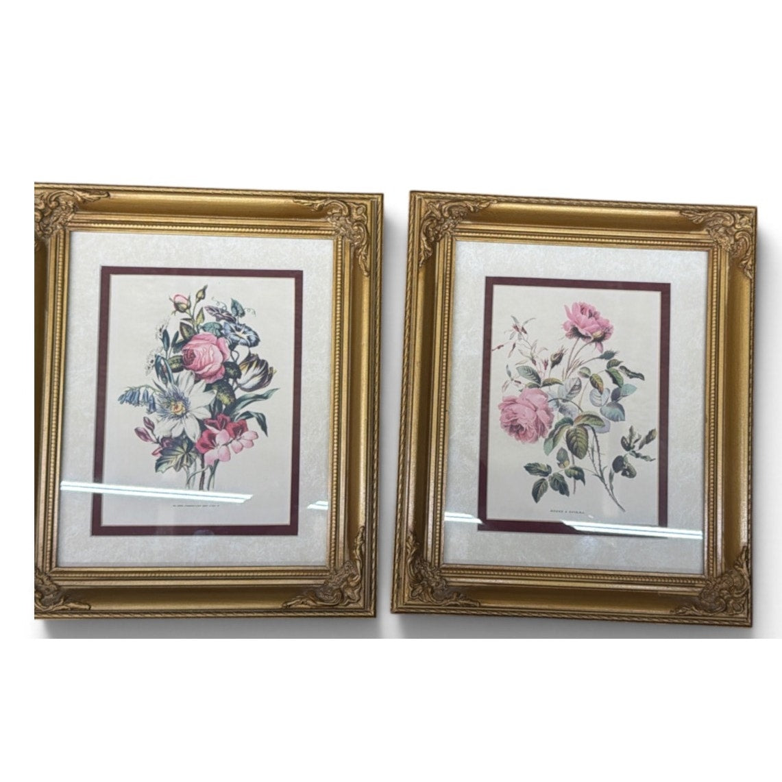 Vintage P Jerrard Botanical Floral Prints Pair Gilded Wood Frames 10.5 x 13