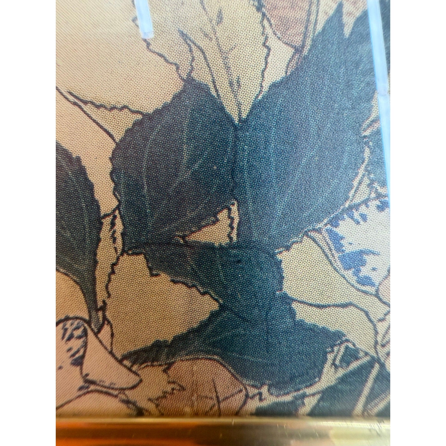 Vintage Japanese Dragonfly Botanical Print Framed Washi Paper Asian Wall Art