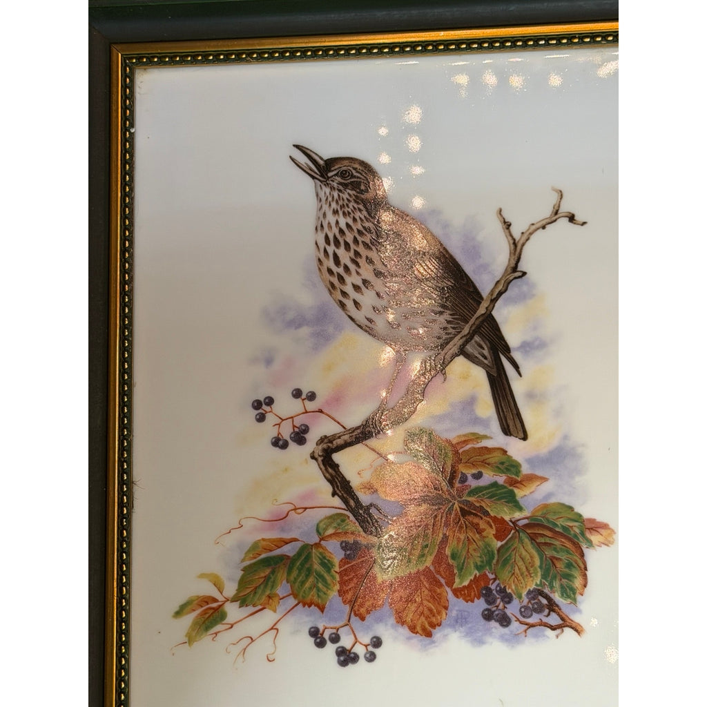 Vintage Heinrich Germany Framed Porcelain Bird Tile Wall Art Pair