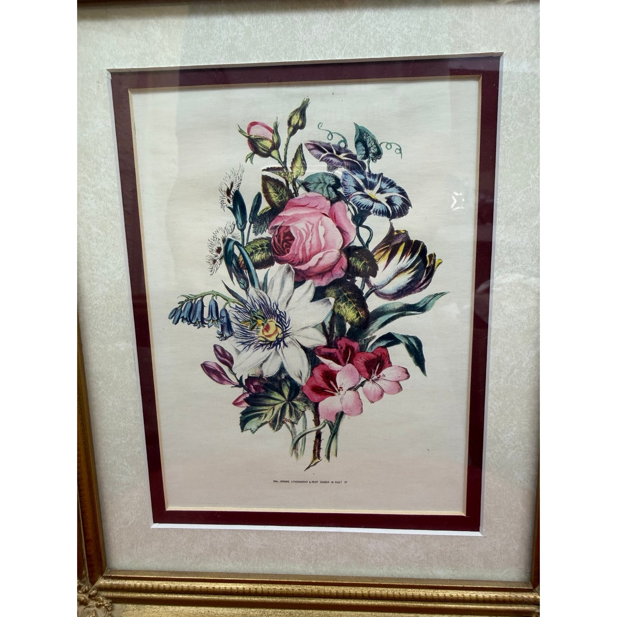 Vintage P Jerrard Botanical Floral Prints Pair Gilded Wood Frames 10.5 x 13