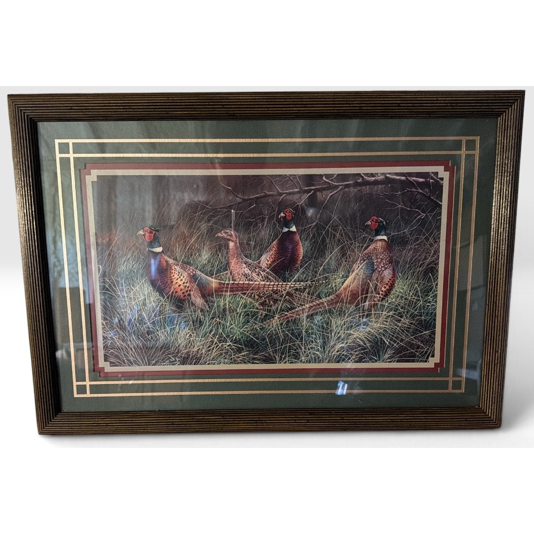 Vintage Bradshaw Ring Neck Pheasants Framed Wildlife Print 23 x 16 – additional view 2