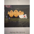 Lily Anna stitches Spring has Sprung wool applique quilt pattern LAS600