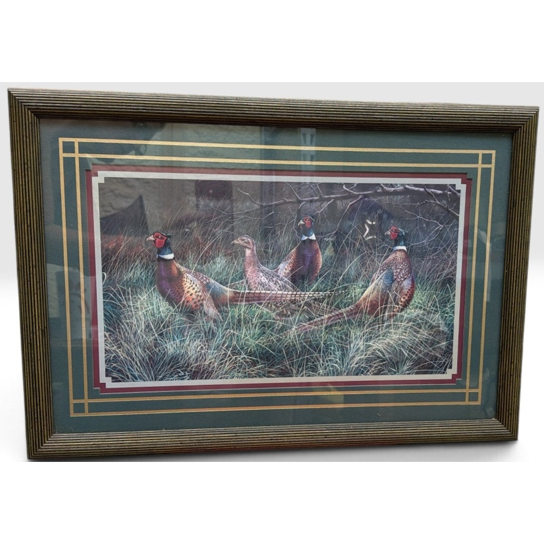 Vintage Bradshaw Ring Neck Pheasants Framed Wildlife Print 23 x 16 – additional view 4