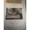 The Old Tattered Flag Punchneedle Pattern Star & Vines Primitive