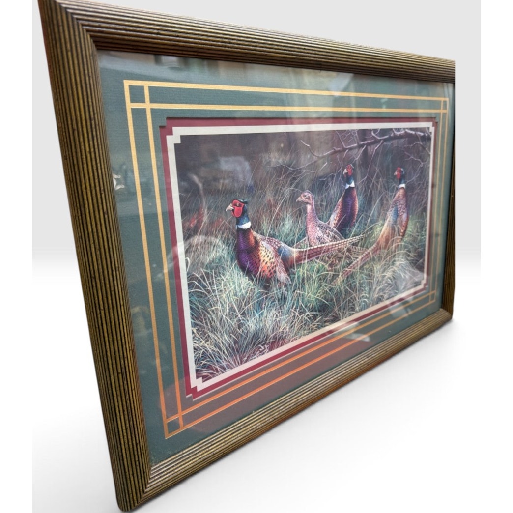 Vintage Bradshaw Ring Neck Pheasants Framed Wildlife Print 23 x 16 – additional view 6
