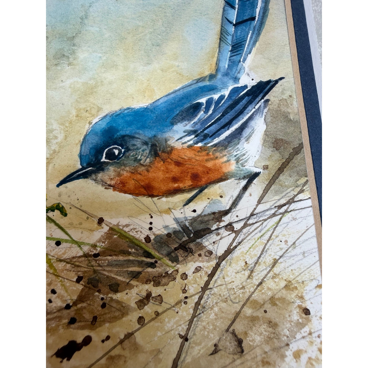 Original Bluebird Watercolor Painting Raymond Williams Curious Blue Framed Art – additional view 7