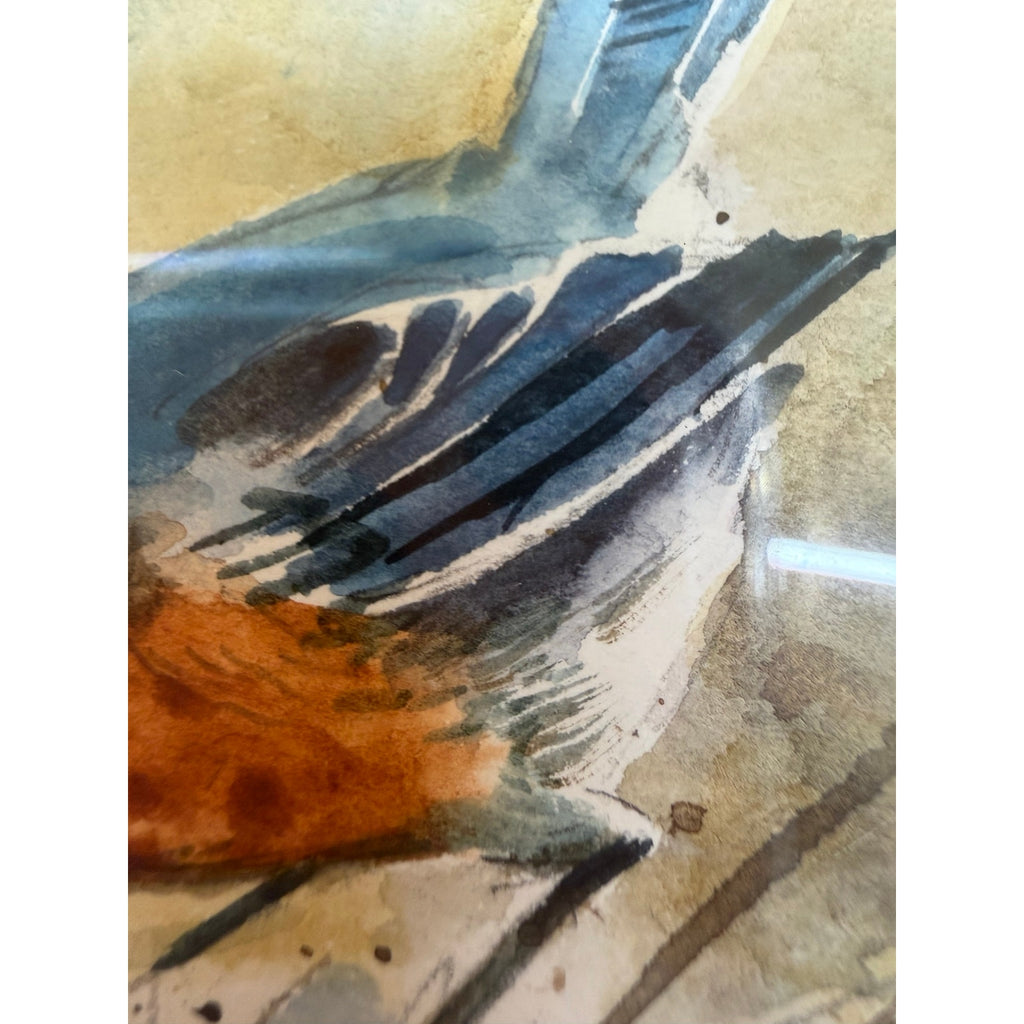 Original Bluebird Watercolor Painting Raymond Williams Curious Blue Framed Art – additional view 12