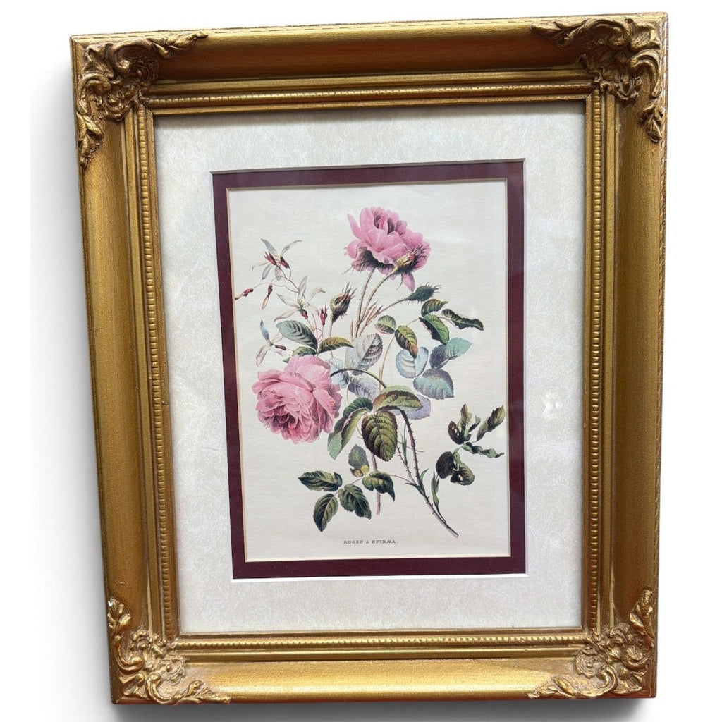 Vintage P Jerrard Botanical Floral Prints Pair Gilded Wood Frames 10.5 x 13