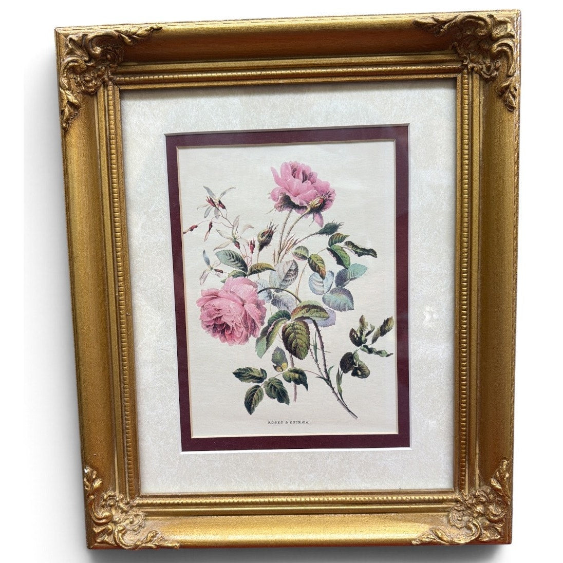 Vintage P Jerrard Botanical Floral Prints Pair Gilded Wood Frames 10.5 x 13