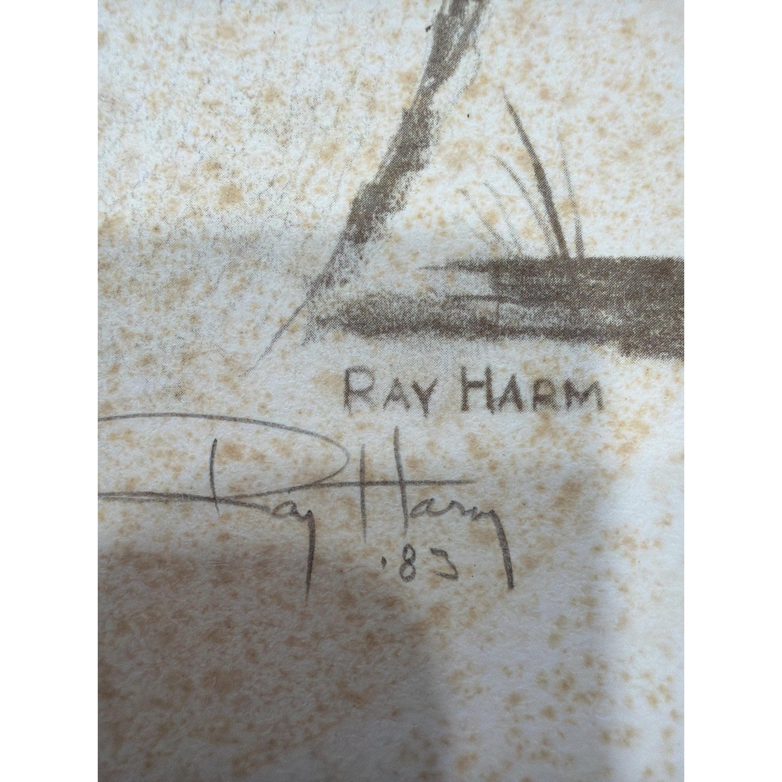 Vintage Woodland Raccoon Art Framed Signed Ray Harm Cozy Cabin Decor