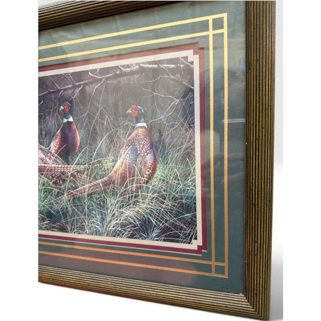 Vintage Bradshaw Ring Neck Pheasants Framed Wildlife Print 23 x 16 – additional view 7