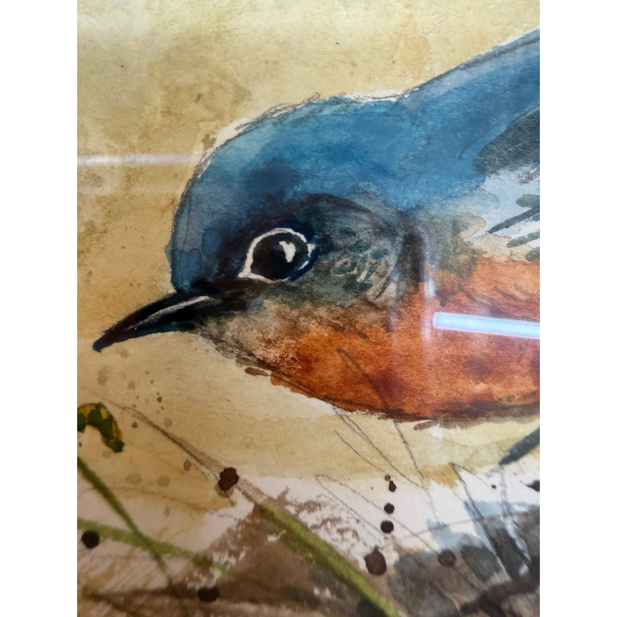 Original Bluebird Watercolor Painting Raymond Williams Curious Blue Framed Art – additional view 13