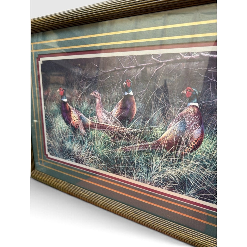 Vintage Bradshaw Ring Neck Pheasants Framed Wildlife Print 23 x 16 – additional view 3