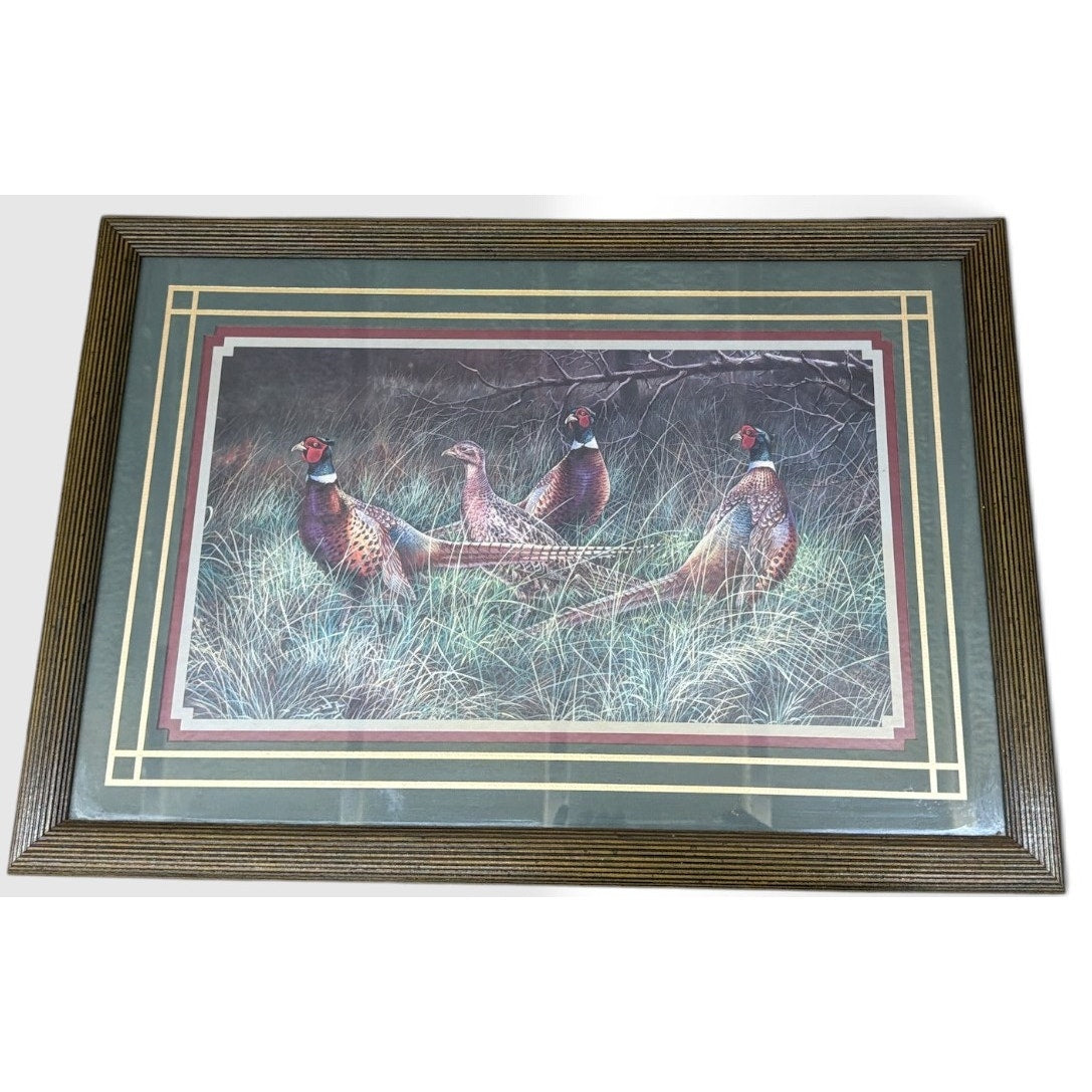 Vintage Bradshaw Ring Neck Pheasants Framed Wildlife Print 23 x 16 – additional view 5